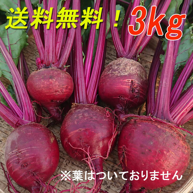 冷凍野菜 手軽に使えるオクラと長芋ミックス 500g 23604(冷凍食品 業務用 おかず お弁当 冷凍 スライスオクラ ダイス状 カット ながいも トッピング サラダ 和え物)