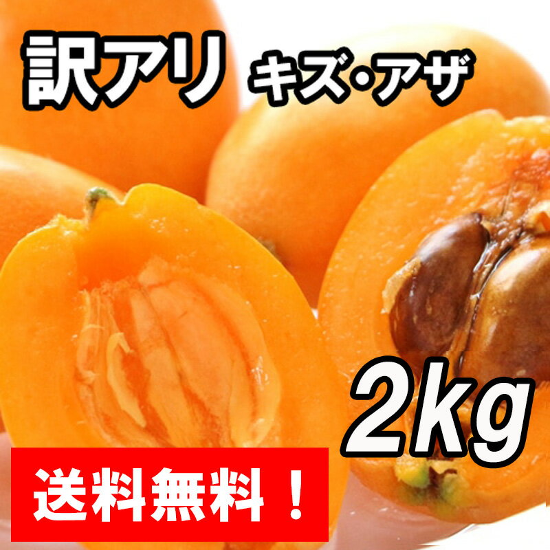 送料無料『訳アリ 房州びわ/枇杷 2kg キズ・アザあり』家庭・加工用 南房総市産のジューシーで大実の枇杷を農家から…