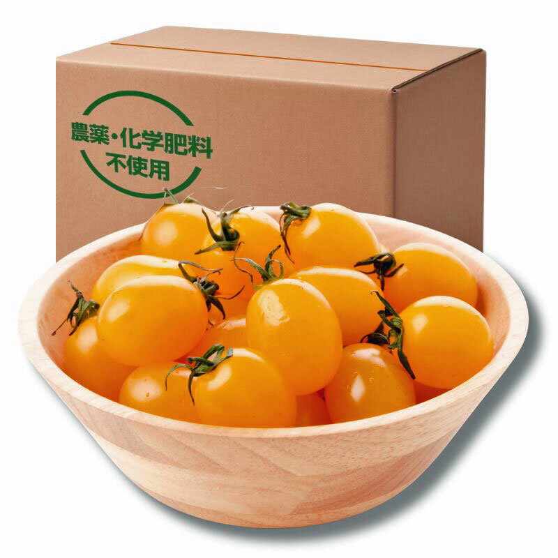 樂天商城 - 農薬・化学肥料不使用『イエローアイコ 1kg（250g×4）』南房総の農家より直送！