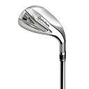 テーラーメイド(TAYLOR MADE) ステルス グローレ アイアン アイアン N.S.PRO 790GH メンズゴルフクラブ RH SW ロフト角 : 54...