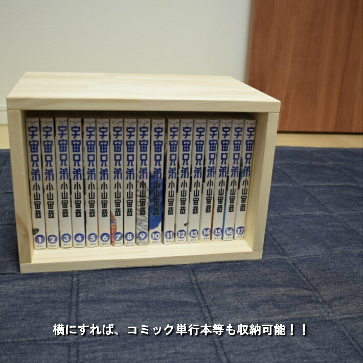 【大きいサイズ】 キューブボックス ShikakuiHako (しかくいはこ) Lsize 1個 巾23c...
