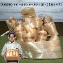 【スギ】杉のなが〜いカンナロールダンボールいっぱい|木材 廃材 木 端材 詰め合わせ 杉 削り節 かんなくず 長い 薄い クラフト ハンドメイド DIY 木工 ...