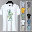 Tシャツ メンズ 半袖 おしゃれ 白Tシャツ ロンT T-shirt 半袖tシャツ 配いろ 涼しい カジュアルクルーネック 丸首 プリント 夏 送料無料 父の日