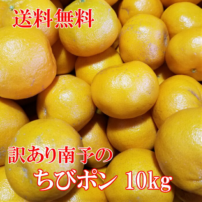 南予のちびポン 10kg【送料無料】《訳あり》（サイズ バラ混 2S〜Sサイズ）【愛媛県産】コクのある濃厚な甘さ、さわやかな独特な芳香でリフレッシュ、ビタミンが身体に嬉しい！たっぷり10kg