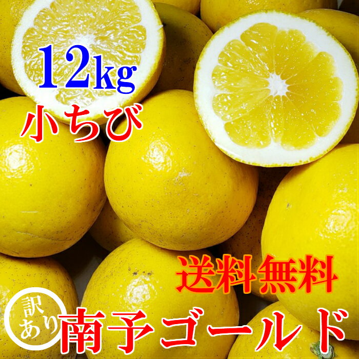 【送料無料】小ちび南予ゴールド 河内晩柑 12kg《訳あり小ちび》【食品】【人気商品】【愛媛県産】スッキリ爽やかジューシー果実 サイズ バラ混 S～Mサイズ 【旬の果実】【宇和ゴールド】【美…