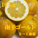 【送料無料】南予ゴールド　B〜C級混10kg（河内晩柑・かわ