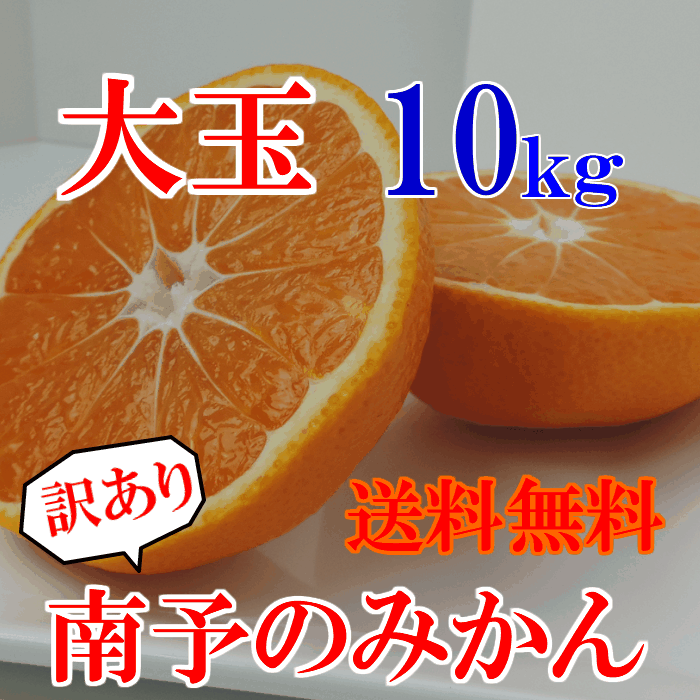 【送料無料】《大玉訳あり》南予のみかん10kg（サイズ 大玉 L〜3L　キズ・スレ・黒点・浮き）《早生・中生・普通温州》【愛媛県産】迫力満点大玉みかん　えひめみかん　人気　大容量　お得　100円クーポン　甘くて美味しい　オレンジ　今が旬　年末年始のサムネイル