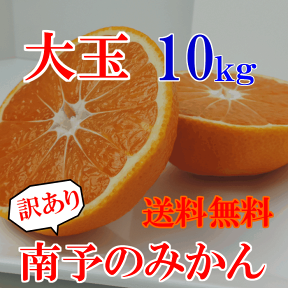 【送料無料】《大玉訳あり》南予のみかん10kg（サイズ 大玉 L〜3L　キズ・スレ・黒点・浮き）《早生・中生・普通温州》【愛媛県産】迫力満点大玉みかん　えひめみかん　人気　大容量　お得　100円クーポン　甘くて美味しい　オレンジ　今が旬　年末年始