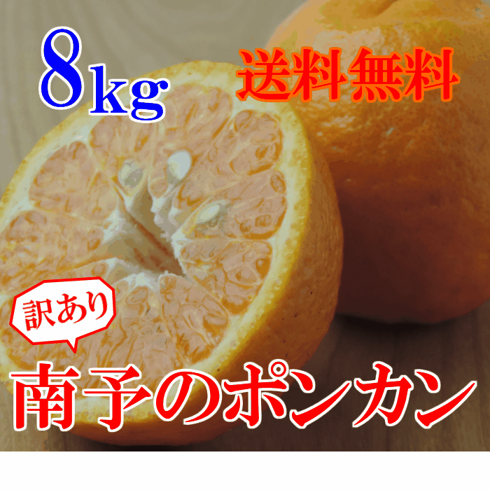 南予のポンカン 8kg【送料無料】《訳あり》（サイズ バラ混 2S〜2Lサイズ）【愛媛県産】コクのある濃厚な甘さ、さわやかな独特な芳香でリフレッシュ、ビタミンが身体に嬉しい！たっぷり8kg　バレンタインのサムネイル