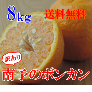 南予のポンカン 8kg【送料無料】《訳あり》（サイズ バラ混 2S〜2Lサイズ）【愛媛県産】コクのある濃厚な甘さ、さわやかな独特な芳香でリフレッシュ、ビタミンが身体に嬉しい！たっぷり8kg