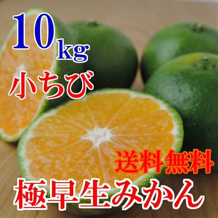 【順次発送】小ちび南予の極早生みかん（極早生・青みかん）10kg《訳あり・小ちび》【愛媛県産】酸っぱさの中にうまさを感じる（サイズ バラ混 3S〜Sサイズ）ビタミンが身体に嬉しい！【送料無料】