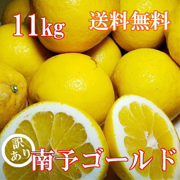 【送料無料】南予ゴールド（河内晩柑・かわちばんかん）11kg《訳あり》【食品】【愛媛県産】スッキリ爽..