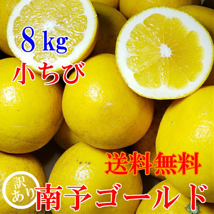 【送料無料】【人気商品】小ちび南予ゴールド 河内晩柑 8kg《訳あり小ちび》【食品】【愛媛県産】スッキリ爽やかジューシー果実 30〜40玉・サイズ バラ混 S~Mサイズ 【旬の果実・フルーツ】【…