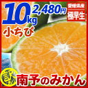 小ちび南予の極早生みかん(極早生・青みかん)10kg《訳あり...