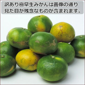 【予約商品】小ちび南予の極早生みかん(極早生・青みかん)10kg《訳あり・小ちび》【愛媛県産】酸っぱさの中にうまさを感じる(サイズ バラ混 3S〜Sサイズ)ビタミンが身体に嬉しい!【送料無料】