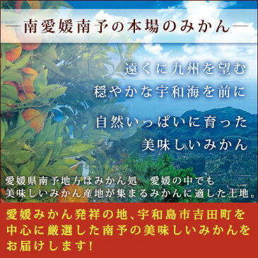 【予約商品】小ちび南予の極早生みかん(極早生・青みかん)10kg《訳あり・小ちび》【愛媛県産】酸っぱさの中にうまさを感じる(サイズ バラ混 3S〜Sサイズ)ビタミンが身体に嬉しい!【送料無料】