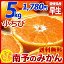 【送料無料】《小ちび訳あり》南予のみかん5kg(サイズ 小ち...
