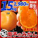 【送料無料】《加工用》南予のみかん15kg（サイズ 3S〜3L　キズ・スレ・黒点・浮き・シワ）《極早生・早生・中生・普通温州》【愛媛県産】スムージーまたはジュースやゼリー、ジャムなど果汁を使った加工品向き