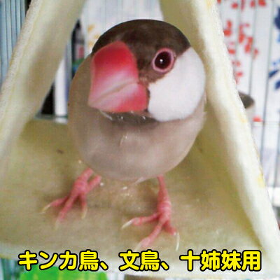 すずやかバードテント（春夏用）Sサイズキンカ鳥 文鳥 十姉妹用 (約 幅8×奥行10×高さ10cm) ...