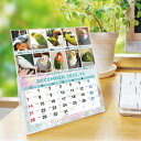 2025年 鳥づくし卓上カレンダー(全116羽掲載)(卓上 鳥 インコ 小鳥 卓上カレンダー 暦 文鳥 セキセイインコ オカメインコ コザクラインコ ウロコイン...