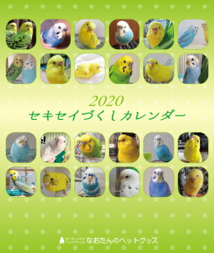 2020年 セキセイづくし卓上カレンダー