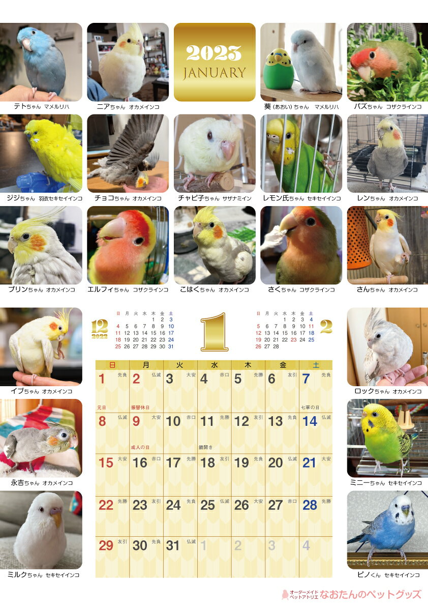 売買 23年 カレンダー 予約 壁掛け 壁かけ 鳥 インコ 文鳥 オウム 小鳥 壁掛けカレンダー 暦 こよみ 癒し 鳥づくし壁かけカレンダー 予約 販売 全240羽掲載 オカメインコ コザクラインコ ヨウム セキセイインコ ウロコインコ サザナミインコ ボタンインコ アキクサインコ