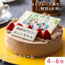チョコ生クリームフォトケーキ ケーキ 4号 5号 6号 送料無料 写真 プリント イラスト プレート ケーキ 印刷 アルバムケーキ 誕生日 バースデーケーキ プレゼント バースデー ナポレオン 冷凍