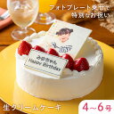 生クリームフォトケーキ ケーキ 4号 5号 6号 送料無料 写真 プリント イラスト プレート ケーキ 印刷 アルバムケーキ 誕生日 バースデーケーキ プレゼント バースデー ナポレオン 冷凍