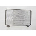 TECHNICAL SPORTS RACING テクニカルスポーツレーシング TSR ラジエーターコアガード Type-A シルバー CB/CBR650R(RH...