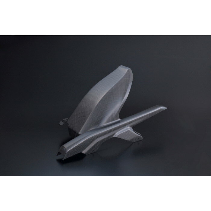 TECHNICAL SPORTS RACING テクニカルスポーツレーシング TSR リアフェンダー カーボン CBR650R/CB650R ..