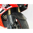 TECHNICAL SPORTS RACING テクニカルスポーツレーシング TSR フロントフェンダー カーボン CBR650R/CB650R 19-