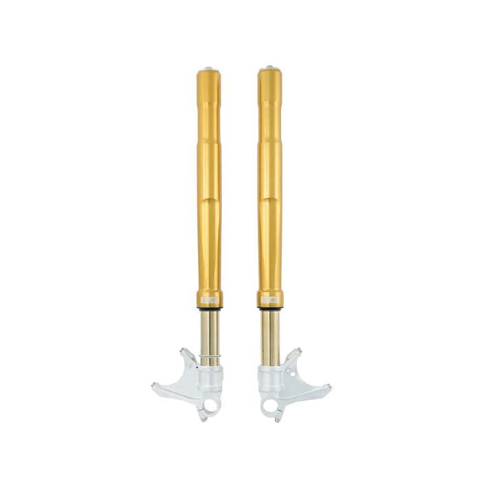 OHLINS オーリンズ FGRT203 FG R&T 倒立フロントフォーク DUCATI 1199 PANIGALE 2012-14