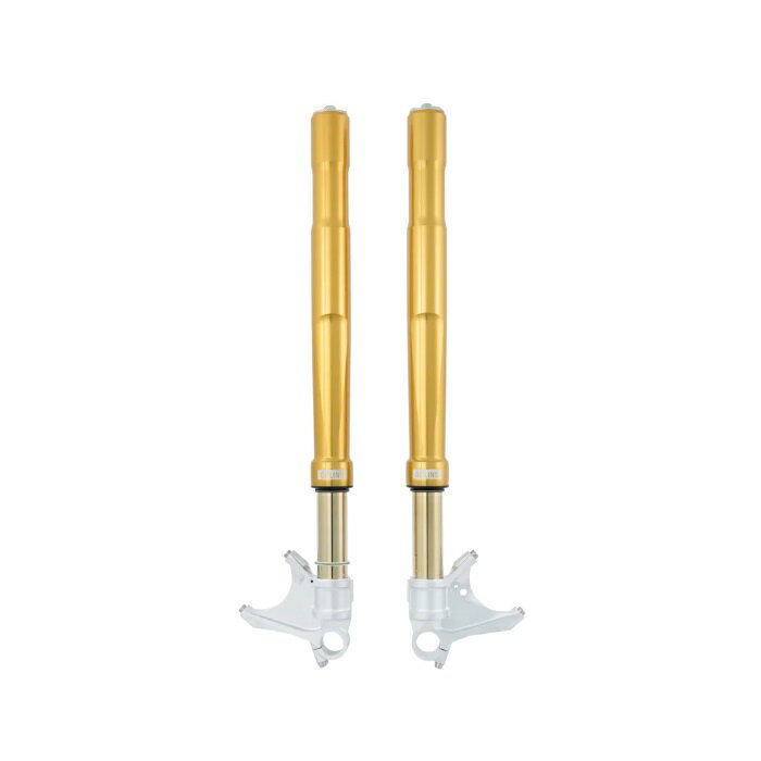 OHLINS ������� FG R&T �ե���ȥե�����Ninja H2 2015-22(SX Ŭ�糰)