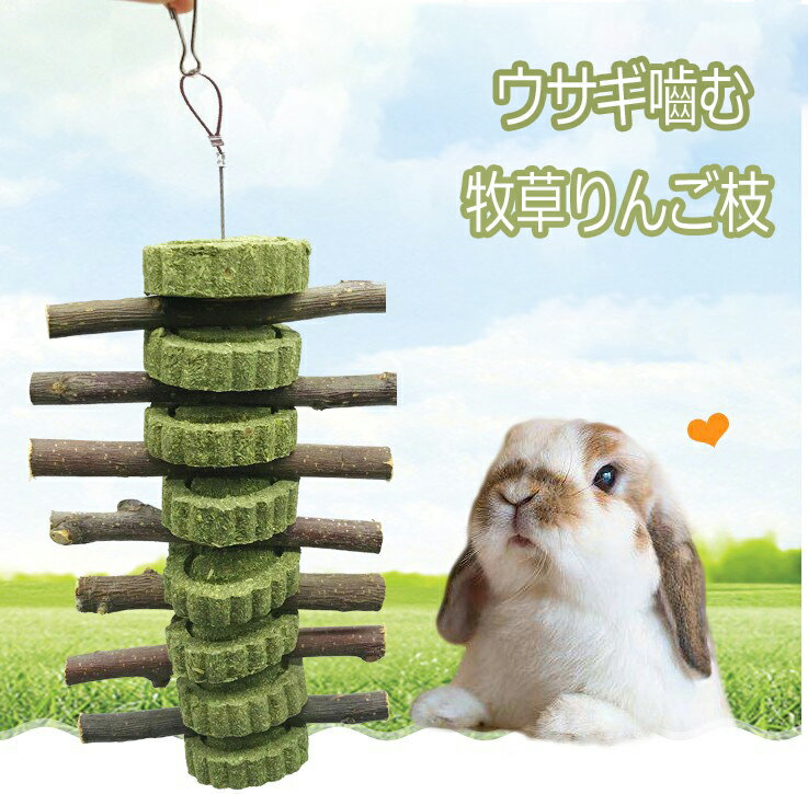 5点セット うさぎ ウサギ 歯磨き ハムスター 歯磨き 果実の木 リンゴの木 牧草りんご枝 林檎 チンチラ リス おもちゃ 小動物嚙む ストレス解...