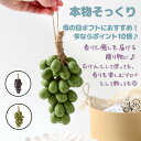 \ポイント10倍♪/【見た目も香りも楽しめる】本物そっくり葡萄デザインのソープ 石鹸 アロマ香りと癒しを届ける贈り物に♪ 母の日 ギフト プレゼント 香水 香り