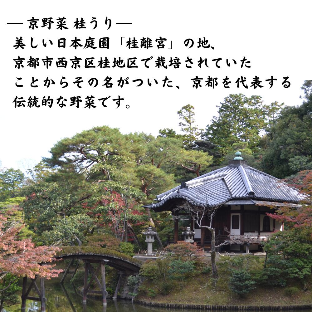 ����������� �ˤ���������� 300g / �� ��¸���忧���Ի��� / ���� ���� ������ �Ҥ�ʪ �Ĥ���� ���Ҥ� ��ʪ �괬������ �ݥ���Ⱦ��� �ݥ���Ⱦò�