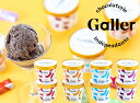 ガレープレミアムアイスクリーム8個セット GLN-8【送料無料※北海道・沖縄不可】【代引き不可】