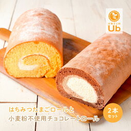 洋菓子工房Ub ロールケーキ 母の日 ギフト プレゼント 母の日ラッピング 包装 ケーキ ギフト プレゼント スイーツ ロールケーキ2本セット 洋菓子工房Ub ロールケーキ 小麦粉不使用 手土産 送料無料 はちみつ卵 グルテンフリー チョコロール お祝い 誕生日 人気 冷凍 お取り寄せ