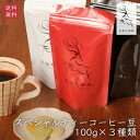 御中元 お中元 ギフト 夏ギフト【天迦久珈琲 スペシャルティコーヒー豆100g 3パックセット】お取り寄せ 送料無料 プレゼント 手土産 珈琲 コーヒーギフトセット 飲み比べ 珈琲豆 自家焙煎 フルーティ エチオピア ゲイシャ 奈良 土産 贈り物 御祝 内祝 結婚祝 御礼 お返し