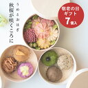 敬老の日 ギフト おはぎ 花モチーフ 和菓子【うめとおはぎ 秋桜が咲くころに おはぎ 7種7個】お取り寄せ 送料無料 無添加 スイーツ おはぎBOX おしゃれ かわいい お供え 冷凍 コスモス ダリア 栗 りんご シナモン 紅茶 黒豆 ほうじ茶うめもり 梅守 御祝 内祝 御礼