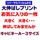 撮影済みのリバーサルフィルムからの、大伸ばしプリント　　四切サイズ　（ワイド四切サイズ）