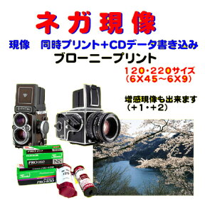 ブローニー　ネガ現像 　　同時プリント　HASSELBLAD　ZENZABRONICA　　Mamiya　PENTAX　Yashica　　　で撮った　ネガフィルム　120　220　フィルム　1本から受付