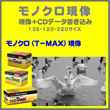 モノクロ（T−MAX）フィルム　モノクロ（T−MAX）現像＋CDデータ書き込み　　Kodak　T-MAX　100　　T-MAX　400　　T-MAX　P3200135　120　1本から受付