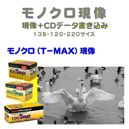 モノクロ T−MAX フィルム モノクロ T−MAX 現像＋CDデータ書き込み Kodak T-MAX 100 T-MAX 400 T-MAX P3200135 120 1本から受付