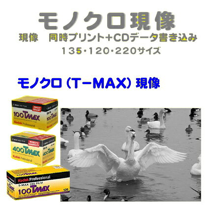 モノクロ（T−MAX）フィルム　モノクロ（T−MAX）現像　同時プリント＋CDデータ書き込み　　Kodak　T-MAX　100　　T-MAX　400　T-MAX　P3200　　135　120　　1本から受付