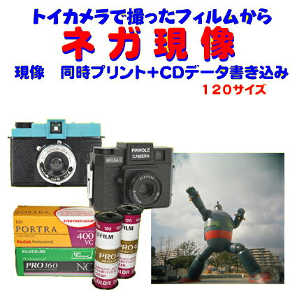 【写真付きレビュー】トイカメラ で撮った ブローニーフィルム ネガ現像 同時プリント FUJI PRO400 Kodak Ektar