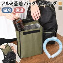 保冷バッグ 保冷ポーチ バッグインバッグ 保冷 ペットボトル 3本入る 2本入る 保温 縦型 自立 リュック アルミ ポーチ 大容量 無地 仕事 お昼 ランチ 仕分け(4)
