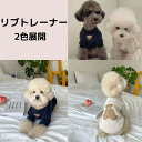ぺット 服 安い 犬 春 秋 冬 くまちゃん リブ トレーナー かわいい 可愛い ハイブランド 猫 ドッグ ウェア