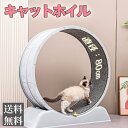 【数量限定クーポン:1000円OFF!!!】【送料無料】キャットホイール 猫用ランニングマシン 回し車 トレッドミル 軽量プラスチック 組み立て簡単 静音設計 ...