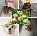ペット用帽子 犬 猫 dog cat 帽子 ハット 犬用 猫用 愛犬 愛猫 ペット ぼうし 動物 お散歩 ペット用品
